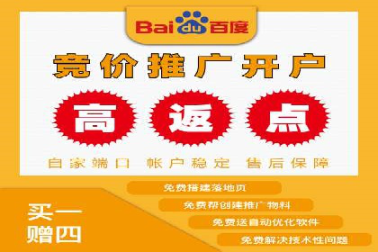 竞价推广公司案例分析：精准投放策略助力企业业绩翻倍